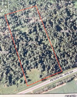 Photo 1: Route 324 Peters Road in Peters Road: Vacant Land for sale : MLS®# 202320831