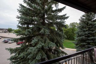 Photo 17: 205 815 St Anne's Road in Winnipeg: River Park South Condominium for sale (2F)  : MLS®# 202121631