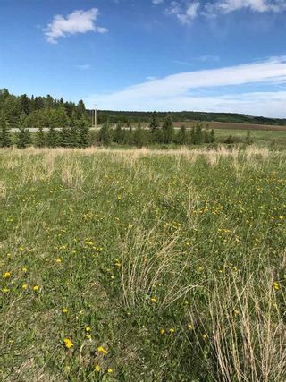 Photo 4: 240030 186 Avenue W: Priddis Residential Land for sale : MLS®# A2106171