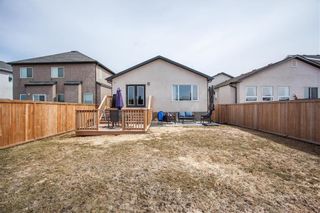 Photo 41: 131 Joynson Crescent in Winnipeg: House for sale : MLS®# 202408596