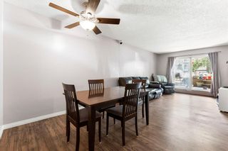 Main Photo: 102 20 Dover Point SE in Calgary: Dover Apartment for sale : MLS®# A2053490