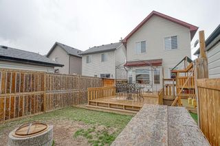 Photo 34: 53 Cramond Circle SE in Calgary: Cranston Detached for sale : MLS®# A1216665