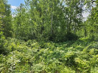 Photo 7: 4 Whitetail Lane in Sprague: Vacant Land for sale : MLS®# 202319300