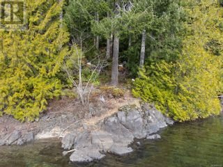 Photo 4: 19320 Pacific Rim Hwy in Port Alberni: Vacant Land for sale : MLS®# 955729