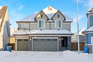 Main Photo: 329 Marquis Landing SE in Calgary: Mahogany Detached for sale : MLS®# A2015836