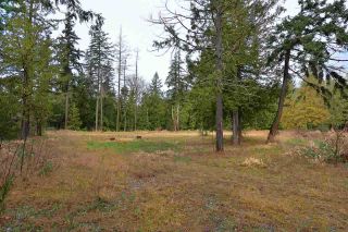Photo 9: LOTS C D E KING Road in Gibsons: Gibsons & Area Land for sale (Sunshine Coast)  : MLS®# R2212343