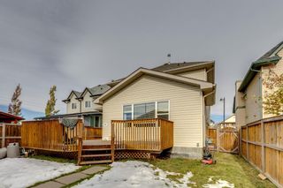 Photo 40: 134 Elgin Way SE in Calgary: McKenzie Towne Detached for sale : MLS®# A2008966