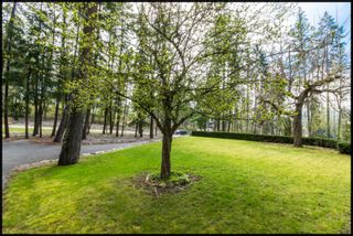 Photo 15: 3191 Northeast Upper Lakeshore Road in Salmon Arm: Upper Raven House for sale : MLS®# 10133310