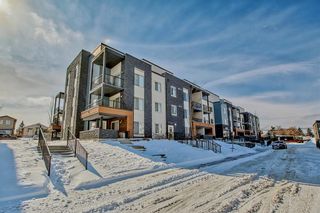 Photo 27: 4215 1317 27 Street SE in Calgary: Albert Park/Radisson Heights Apartment for sale : MLS®# A2030995