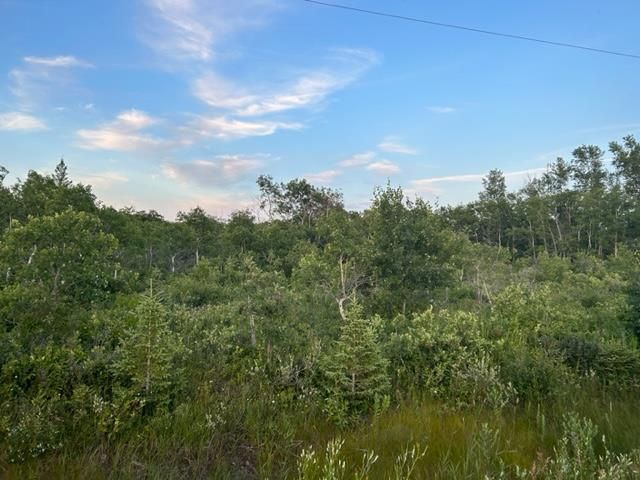 Main Photo: 16 PL 2367 Rd 8E Road in Teulon: Vacant Land for sale : MLS®# 202318118