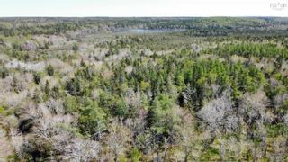 Photo 10: Lot Beaver River Road in Beaver River: County Hwy 1 Vacant Land for sale (Yarmouth)  : MLS®# 202310011
