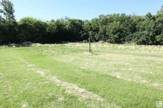 Photo 4: 48325 RR 271: Rural Leduc County Rural Land/Vacant Lot for sale : MLS®# E4308744