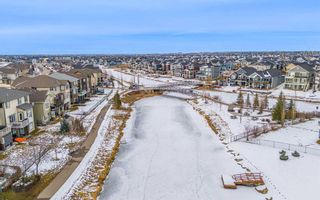 Photo 47: 1762 Baywater Street SW: Airdrie Detached for sale : MLS®# A2125968