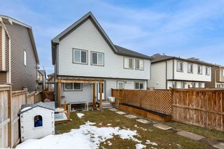 Photo 31: 238 Cranford Park SE in Calgary: Cranston Semi Detached (Half Duplex) for sale : MLS®# A2127820