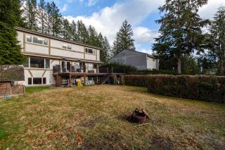Photo 38: 41833 GOVERNMENT Road in Squamish: Brackendale House for sale in "BRACKENDALE" : MLS®# R2545412