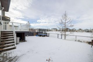 Photo 39: 15 Martha’s Way NE in Calgary: Martindale Detached for sale : MLS®# A1186356
