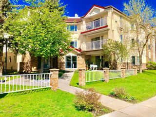 Photo 30: 307 1715 35 Street SE in Calgary: Albert Park/Radisson Heights Apartment for sale : MLS®# A2017879