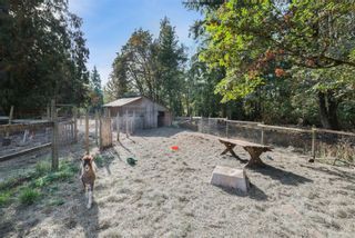 Photo 8: 529 Holiday Rd in Fanny Bay: CV Union Bay/Fanny Bay House for sale (Comox Valley)  : MLS®# 916289