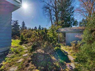 Photo 39: 11020 LAWRIE Crescent in Delta: Sunshine Hills Woods House for sale (N. Delta)  : MLS®# R2561098