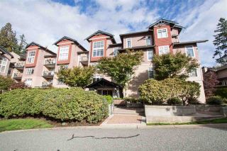 Photo 19: 303 1140 STRATHAVEN Drive in North Vancouver: Northlands Condo for sale in "STRATHAVEN" : MLS®# R2492806