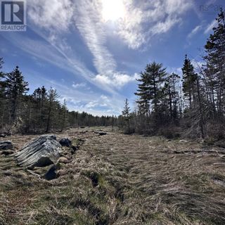 Photo 21: Lot 4 Port Medway Road in Port Medway: Vacant Land for sale : MLS®# 202307644