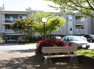 Photo 20: 206 9946 151 Street in Surrey: Guildford Condo for sale in "Westchester Place" (North Surrey)  : MLS®# R2169746