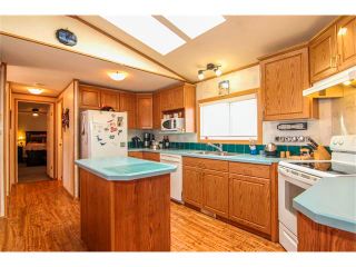 Photo 19: 241003 RR235: Rural Wheatland County House for sale : MLS®# C4005780