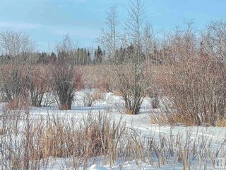Photo 29: TWP RD 613A RGE RD 234: Rural Westlock County Rural Land/Vacant Lot for sale : MLS®# E4276161