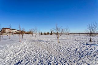 Photo 38: 134 Coverton Heights NE in Calgary: Coventry Hills Detached for sale : MLS®# A1071976
