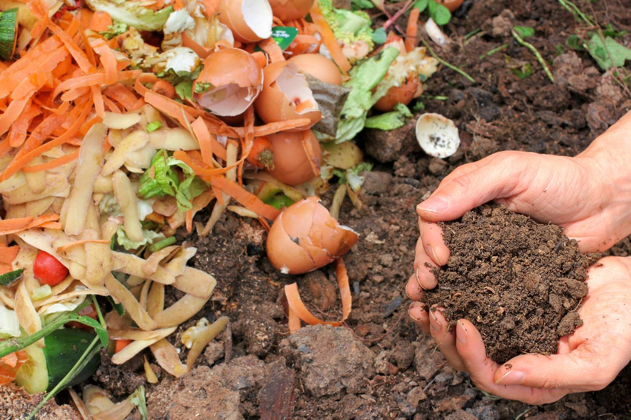 4 Reasons You Should Compost