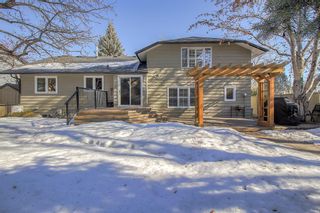 Photo 43: 627 Willoughby Crescent SE in Calgary: Willow Park Detached for sale : MLS®# A1077885