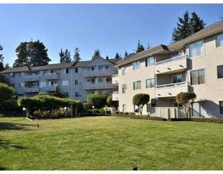 Photo 8: # 102 450 BROMLEY ST in Coquitlam: Coquitlam East Condo for sale : MLS®# V982968