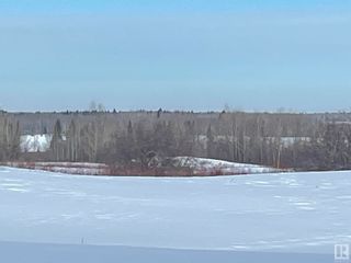 Photo 5: TWP RD 613A RGE RD 234: Rural Westlock County Rural Land/Vacant Lot for sale : MLS®# E4276161