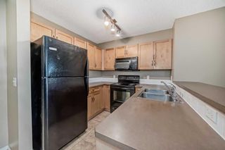 Photo 9: 1205 115 Prestwick Villas SE in Calgary: McKenzie Towne Apartment for sale : MLS®# A2130668