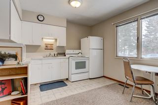 Photo 37: 2108 51 Avenue SW in Calgary: North Glenmore Park Detached for sale : MLS®# A1058307