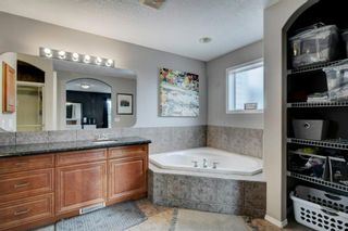 Photo 19: 26 Elgin Park Common SE in Calgary: McKenzie Towne Detached for sale : MLS®# A1232369
