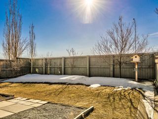 Photo 34: 236 Chapalina Heights SE in Calgary: Chaparral Detached for sale : MLS®# A1078457