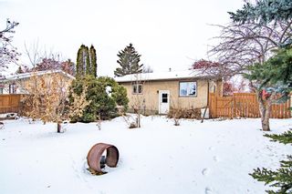Photo 24: 71 Martin Close: Red Deer Detached for sale : MLS®# A2013697