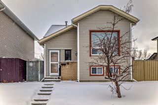 Main Photo: 51 Appletree Close SE in Calgary: Applewood Park Detached for sale : MLS®# A2121630