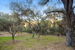 Photo 62: 3137 S Mission Road in Fallbrook: Residential for sale (92028 - Fallbrook)  : MLS®# OC22098712