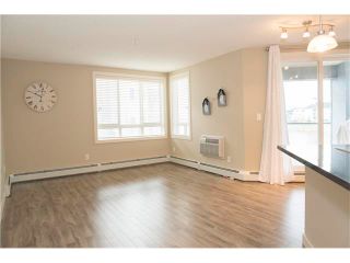 Photo 10: 206 120 COUNTRY VILLAGE Circle NE in Calgary: Country Hills Village Condo for sale : MLS®# C4043750