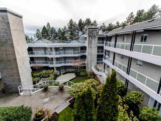 Photo 18: 404 2733 ATLIN PLACE in Coquitlam: Coquitlam East Condo for sale : MLS®# R2419896