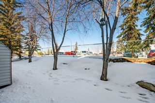 Photo 37: 37 Patina View SW in Calgary: Patterson Row/Townhouse for sale : MLS®# A2033796
