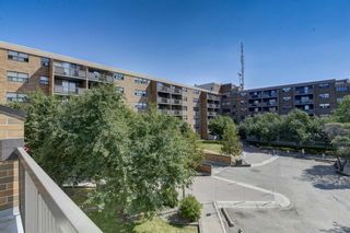Photo 22: 326 30 Mchugh Court NE in Calgary: Mayland Heights Apartment for sale : MLS®# A1253732