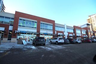 Photo 43: 1313 8710 Horton Road SW in Calgary: Haysboro Apartment for sale : MLS®# A2014731