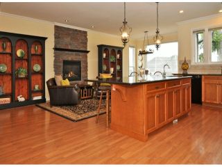 Photo 5: 11054 164A Street in Surrey: Fraser Heights House for sale in "HAMPTON WOODS" (North Surrey)  : MLS®# F1306452