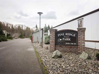 Photo 20: 81 2270 196 Street in Langley: Brookswood Langley Manufactured Home for sale in "Pineridge Park" : MLS®# R2224829
