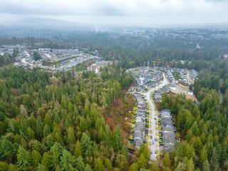 Photo 14: 13800 236 Street in Maple Ridge: Silver Valley Land for sale in "Forest Hamlet Eco Cluster Silver Valley" : MLS®# R2853658