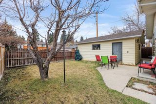 Photo 4: 6423 Silver Ridge Drive NW in Calgary: Silver Springs Detached for sale : MLS®# A2125359