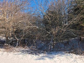 Photo 9: Lot 6 Lakeview Drive in Lake La Rose: Annapolis County Vacant Land for sale (Annapolis Valley)  : MLS®# 202300543
